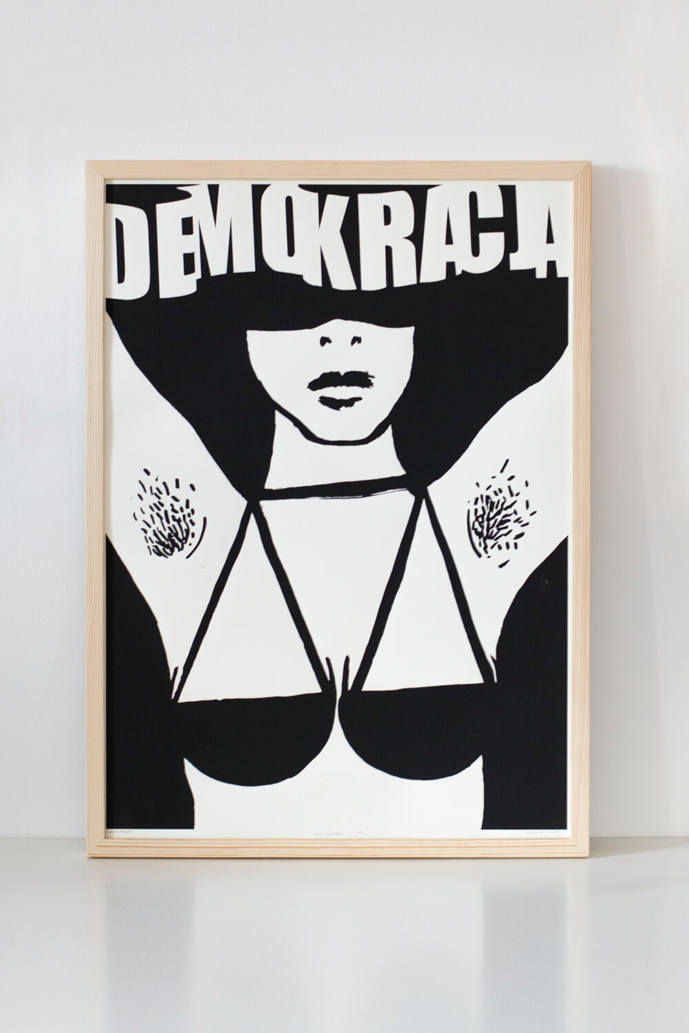 Demokracja 50x70 cm