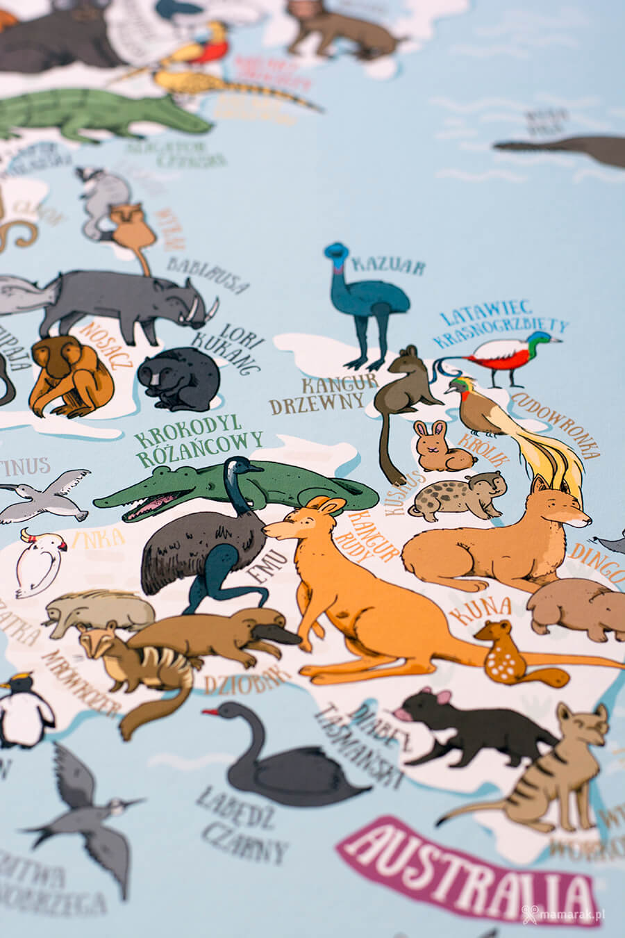 mapa zwierząt